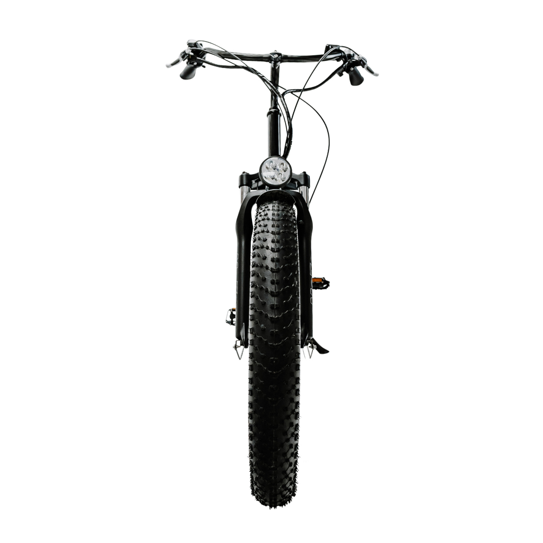 American Electric Steller 2021 - Electricridesonly.com