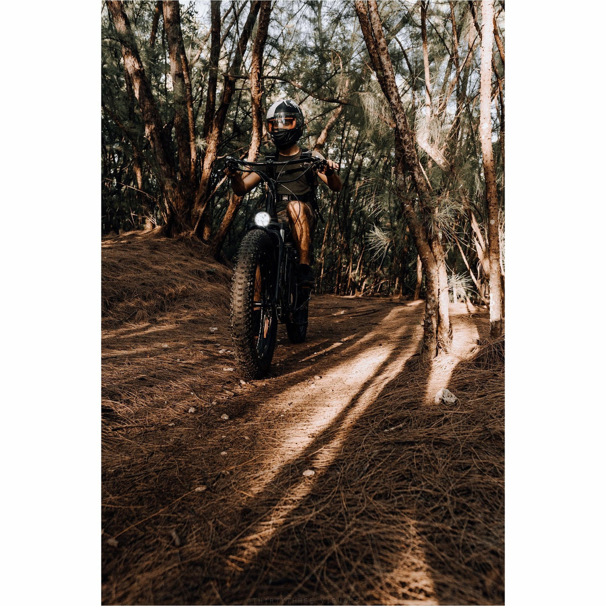 American Electric Steller 2021 - Electricridesonly.com