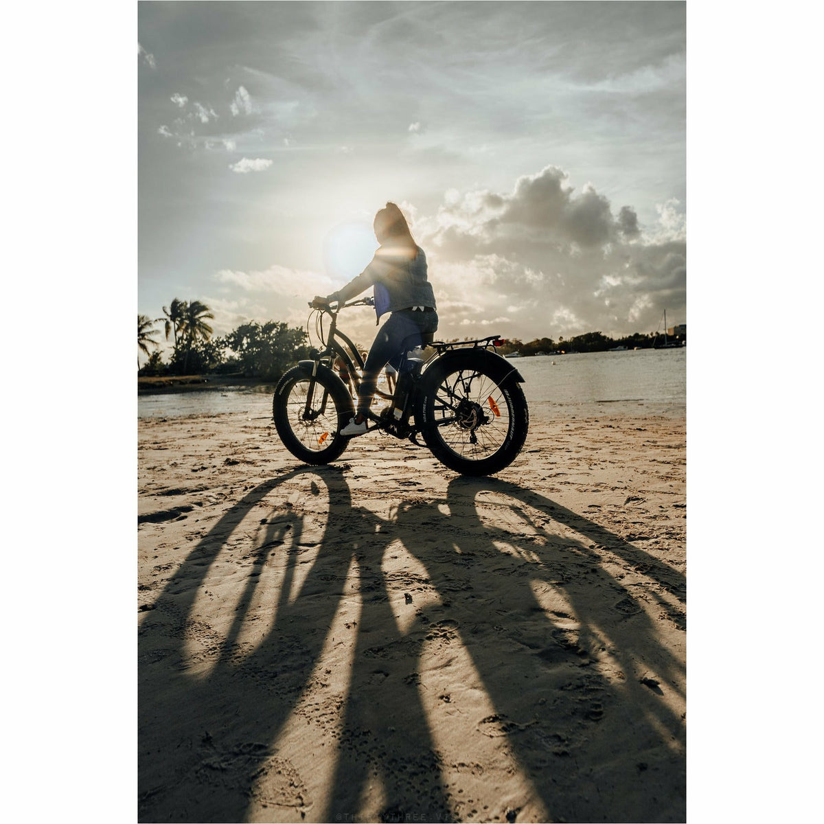 American Electric Steller 2021 - Electricridesonly.com