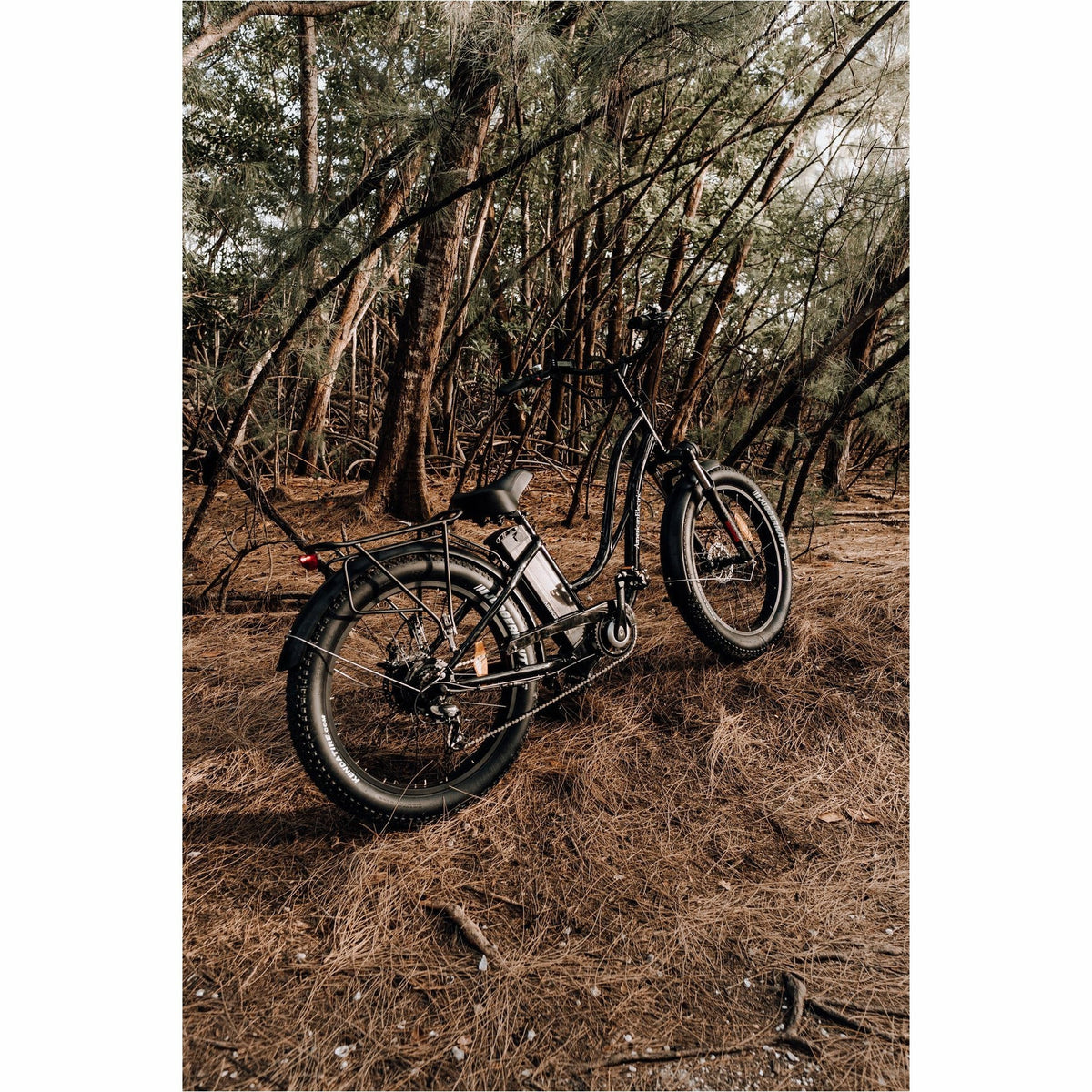 American Electric Steller 2021 - Electricridesonly.com