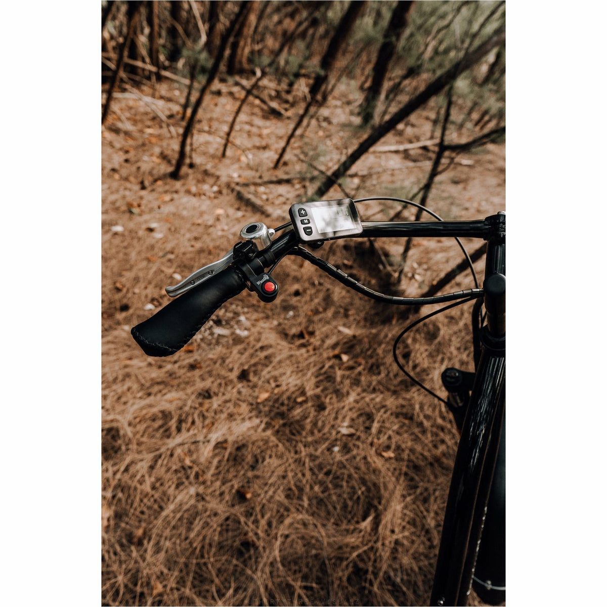 American Electric Steller 2021 - Electricridesonly.com