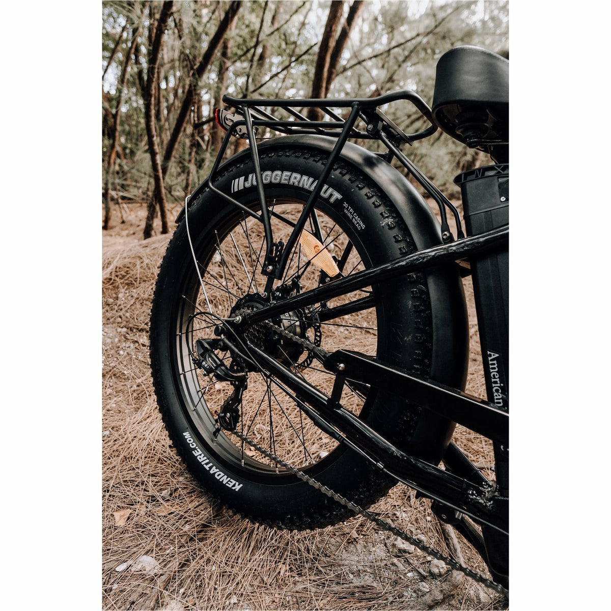 American Electric Steller 2021 - Electricridesonly.com