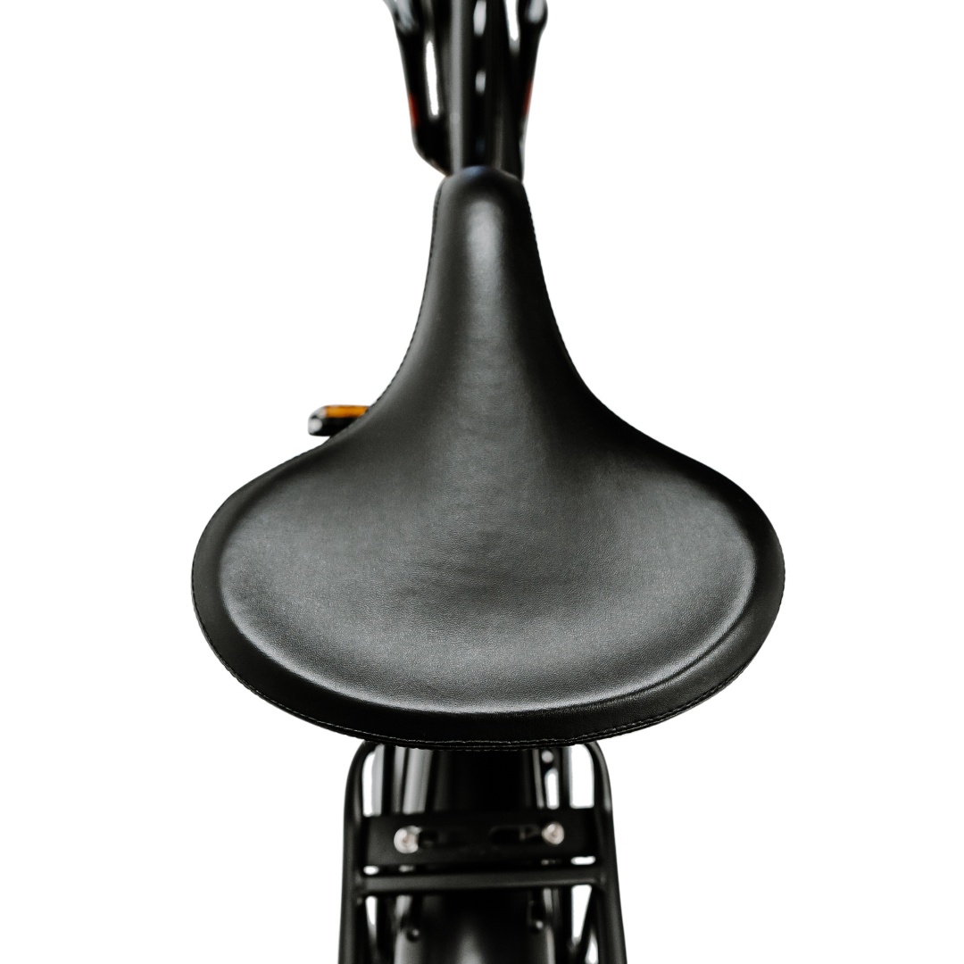 American Electric Steller 2021 - Electricridesonly.com